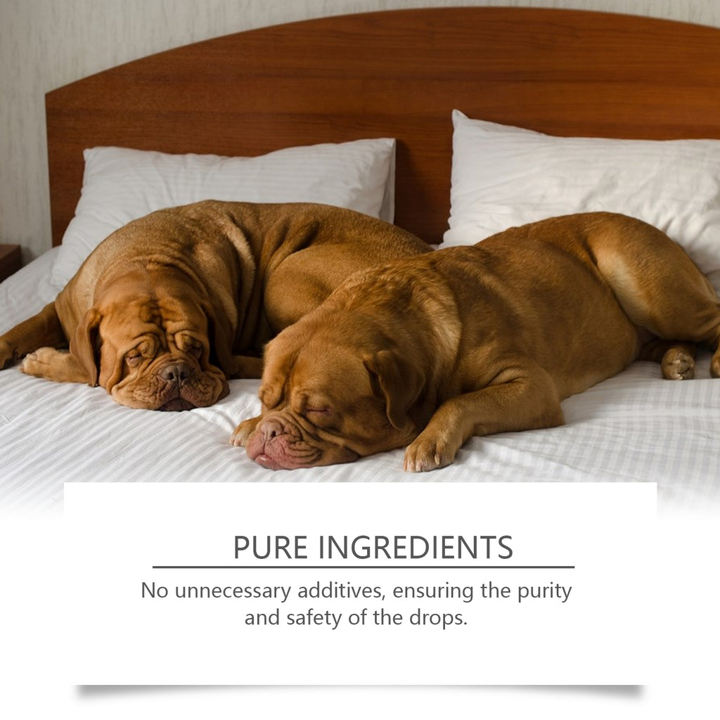 Dog Sleep Drops Pamper Dogs Sleeping At Night Pet Sleep Care Drops Supplement
